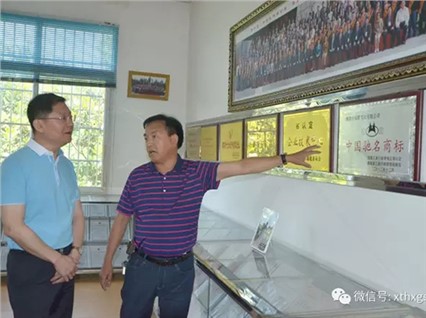 Fu Jun, Deputy Mayor of Xiangtan City, visited Xiangtan Hengxin to inspect the work