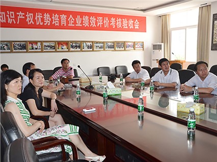 The party and government inspection team from Huachi County, Gansu Province visited our company for inspection
