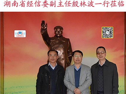 Yin Linbo, Deputy Director of the Hunan Provincial Commission of Economy and Information Technology, and his delegation visited "Xiangtan Hengxin"