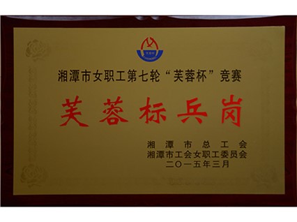 Warm congratulations to Shaoshan Hengwang on being awarded the title of "Xiangtan Furong Model Post"!
