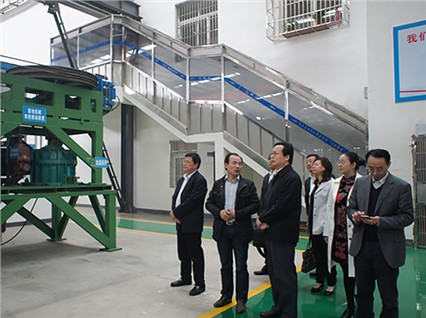 Vice Chairman of the State Federation of Industry and Commerce Xie Jingrong and his delegation visited our company to inspect and guide our work