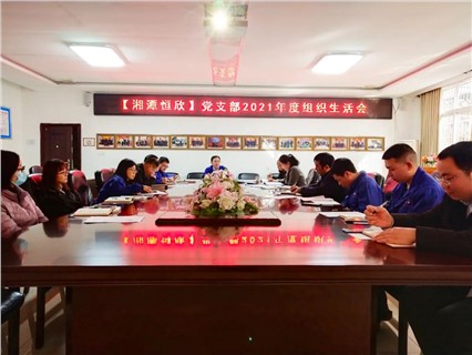 Xiangtan Hengxin: The Party Branch Holds Themed Party Day Activities in March 2022