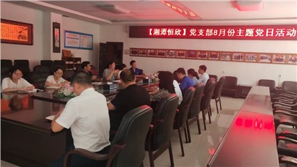 Hengxin Party Branch Holds Theme Party Day Activities in August