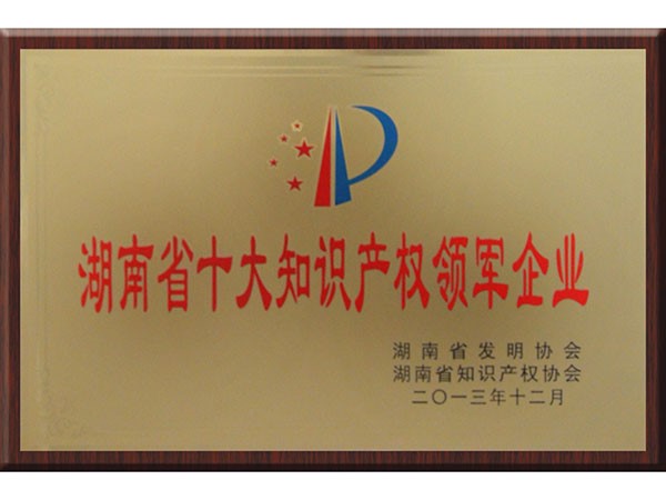 Top 10 Leading Intellectual Property Enterprises in Hunan Province