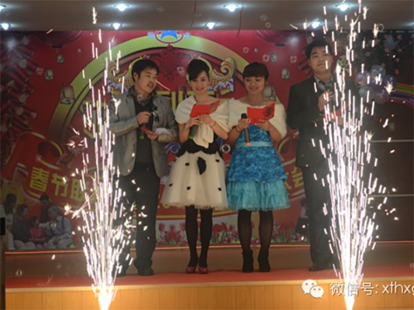 New Year's Eve Gala, showcasing the vitality of "Hengxin"