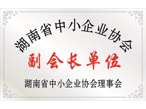 Vice President Unit of Hunan Small and Medium Enterprises Association