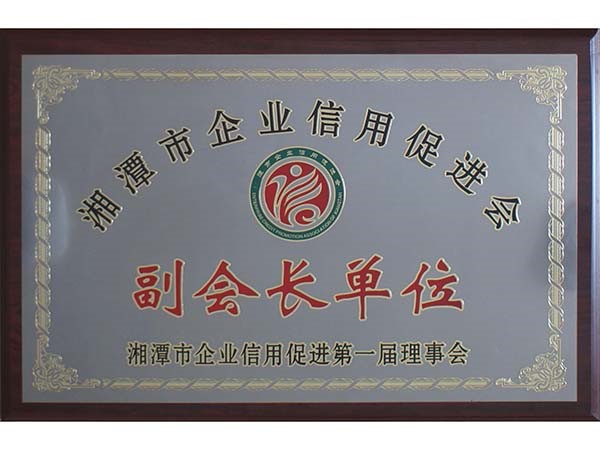Vice President Unit of Xiangtan Enterprise Credit Promotion Association
