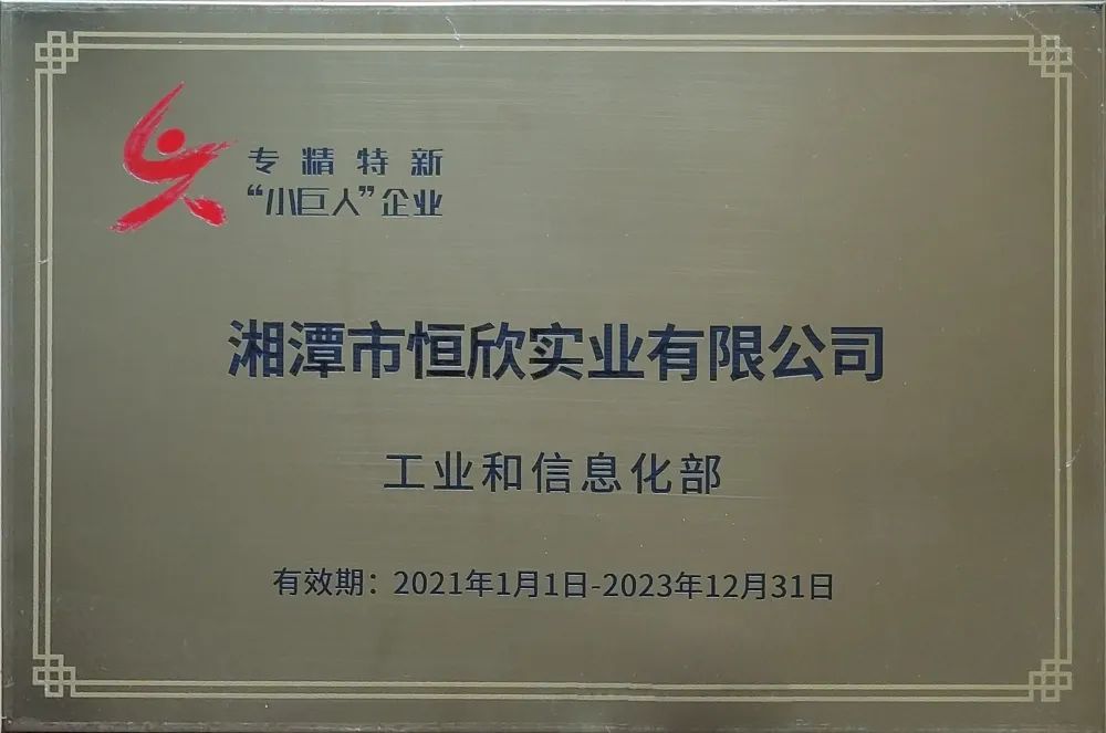 Our company has been awarded the national specialized and new "little giant" enterprise by the Ministry of industry and information technology