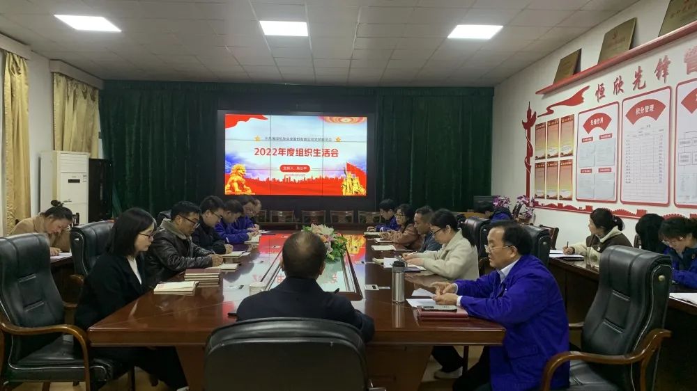 Hengxin Party Branch Holds 2022 Organizational Life Meeting and March 2023 Theme Party Day Activities